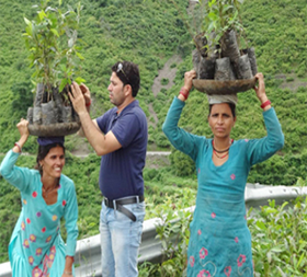 Environment & Nature Conservation