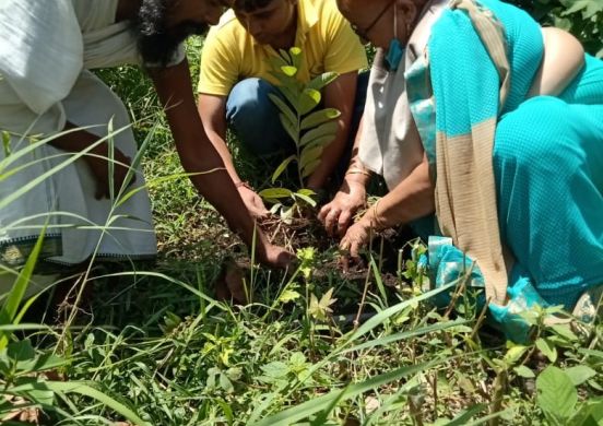 Tree Plantation During Uttarakhandi Lok Parv - Harela - 2021