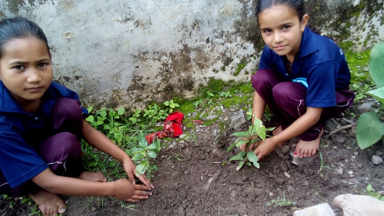  A STEP TOWARDS HEALING PLANET EARTH BY TEAM SAMOON
